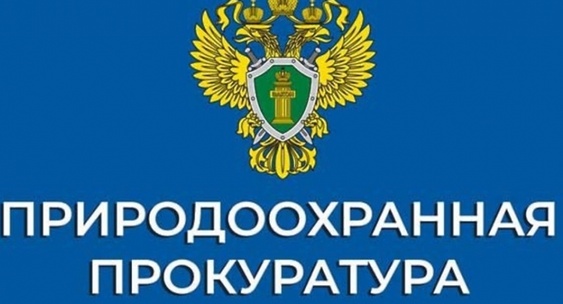 Ивановская межрайонная природоохранная прокуратура информирует..