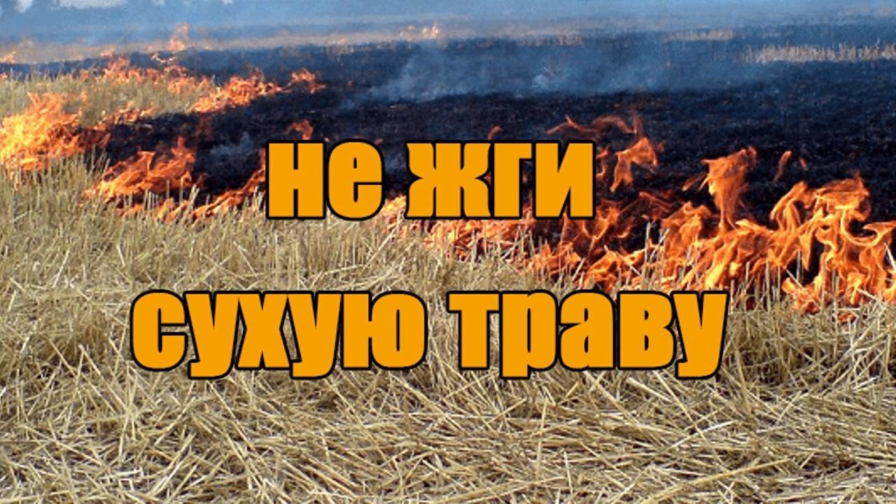 Выжигание сухой растительности опасно!.