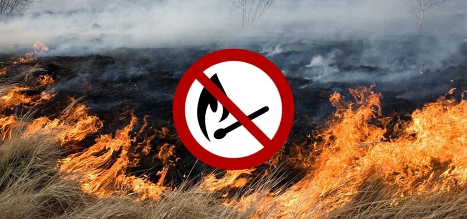 Выжигание сухой растительности опасно!.
