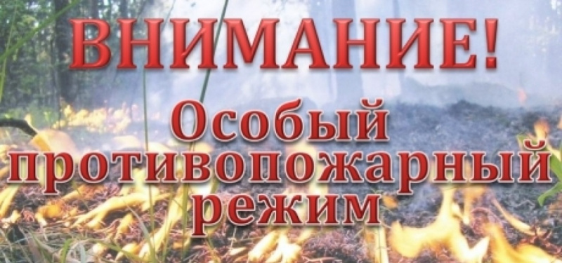 В Ивановской области начал действовать особый противопожарный режим!.